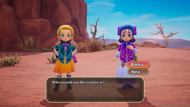 Capture d'écran de Dragon Quest Monsters : Le royaume de Boisflétri