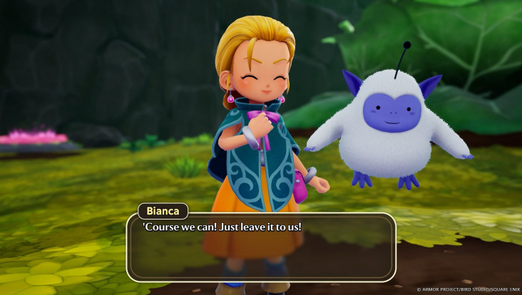 Capture d'écran de Dragon Quest Monsters : Le royaume de Boisflétri