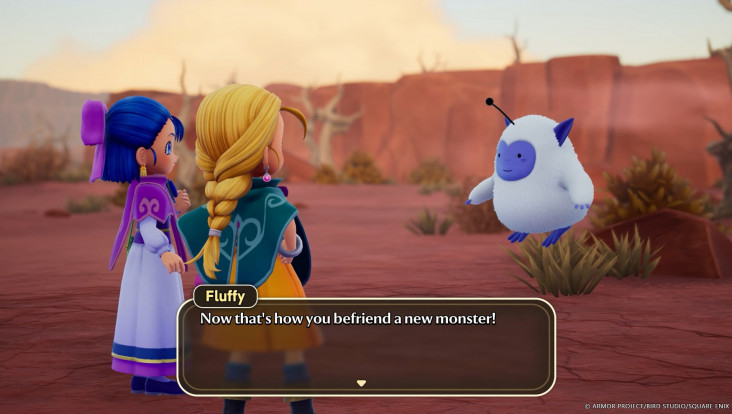 Capture d'écran de Dragon Quest Monsters : Le royaume de Boisflétri