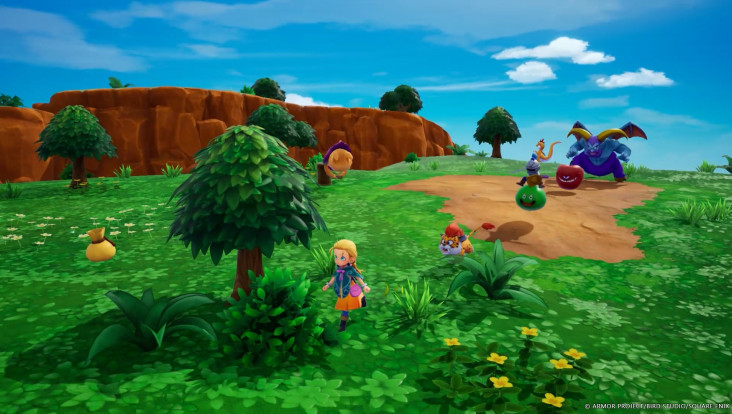 Capture d'écran de Dragon Quest Monsters : Le royaume de Boisflétri